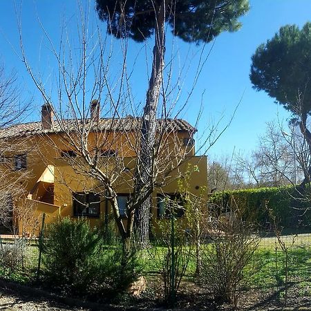 Agriturismo La Cella Villa อาเรซโซ ภายนอก รูปภาพ
