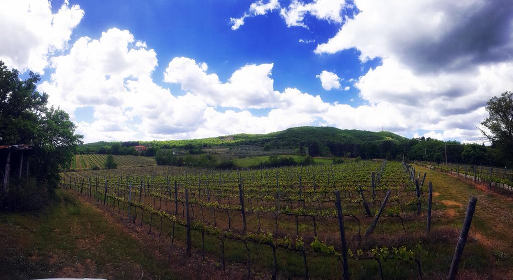 Agriturismo La Cella Villa อาเรซโซ ภายนอก รูปภาพ
